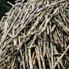 Descubre las diferencias y beneficios del azúcar moreno frente al blanco en Mercadona y Lidl