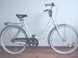 Todo lo que necesitas saber sobre las bicicletas eléctricas del Lidl: precios, autonomía y opiniones